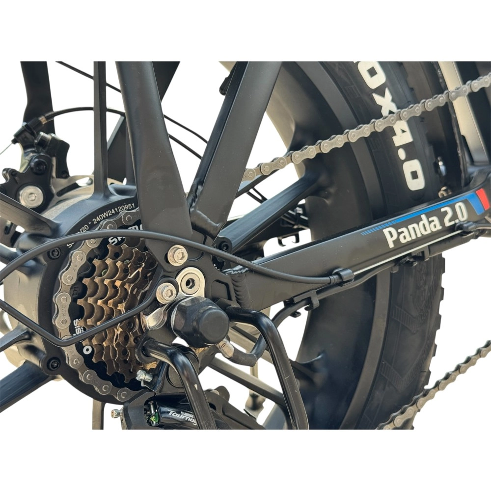 Электровелосипед SmartBalance Panda 2.0 Чёрный 11